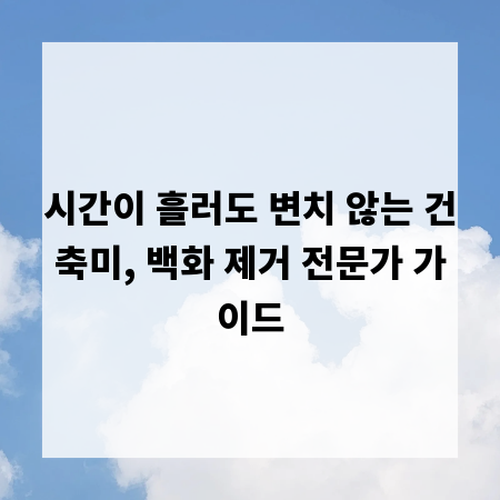 시간이 흘러도 변치 않는 건축미, 백화 제거 전문가 가이드