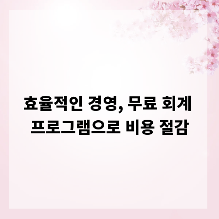 효율적인 경영, 무료 회계 프로그램으로 비용 절감