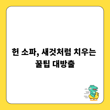 헌 소파, 새것처럼 치우는 꿀팁 대방출