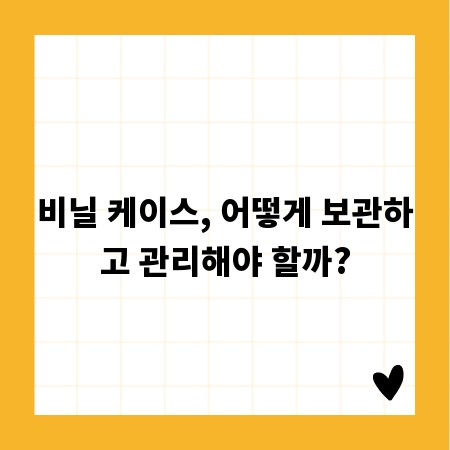 비닐 케이스, 어떻게 보관하고 관리해야 할까?