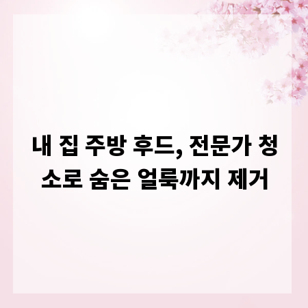 내 집 주방 후드, 전문가 청소로 숨은 얼룩까지 제거