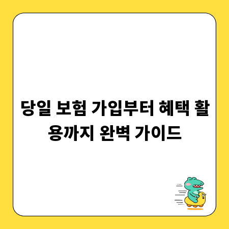 당일 보험 가입부터 혜택 활용까지 완벽 가이드