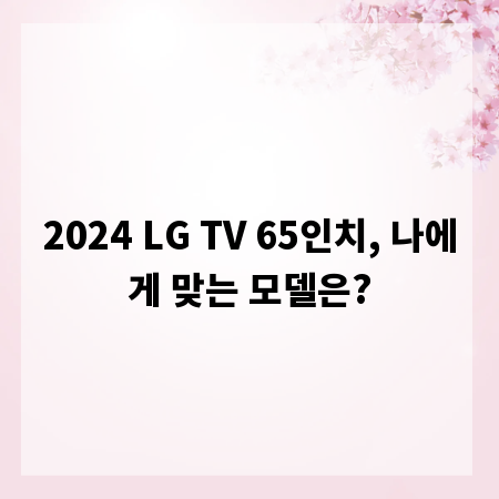 2024 LG TV 65인치, 나에게 맞는 모델은?
