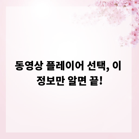 동영상 플레이어 선택, 이 정보만 알면 끝!