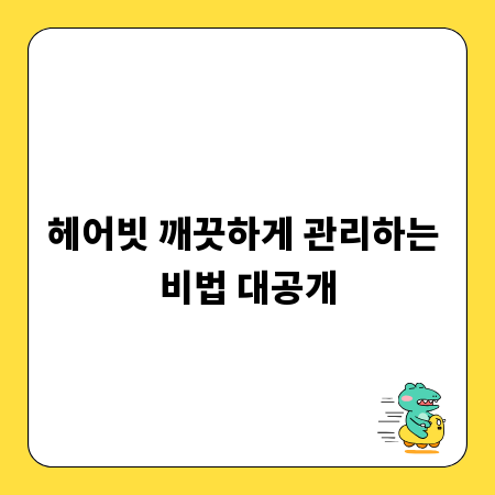 헤어빗 깨끗하게 관리하는 비법 대공개