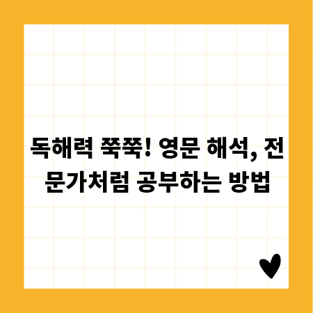 독해력 쭉쭉! 영문 해석, 전문가처럼 공부하는 방법