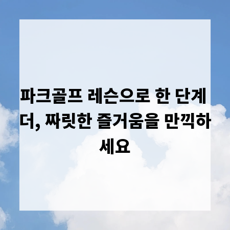 파크골프 레슨으로 한 단계 더, 짜릿한 즐거움을 만끽하세요