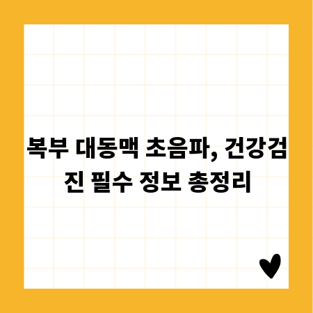 복부 대동맥 초음파, 건강검진 필수 정보 총정리