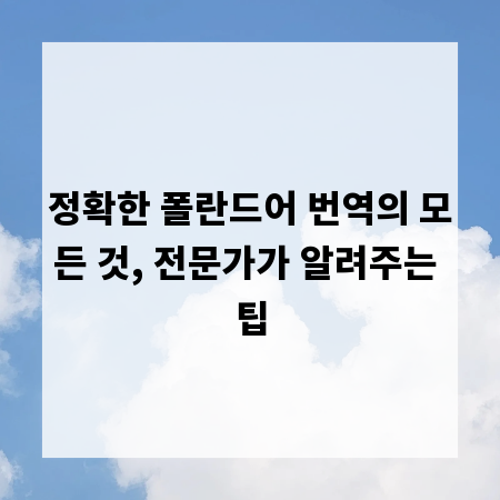 정확한 폴란드어 번역의 모든 것, 전문가가 알려주는 팁