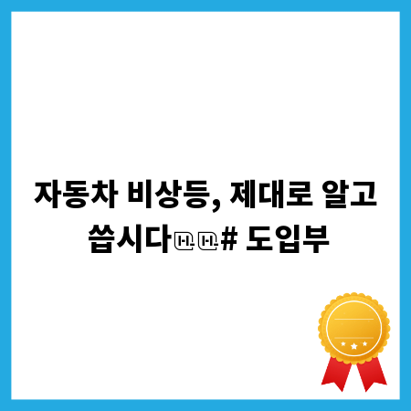 자동차 비상등, 제대로 알고 씁시다

# 도입부