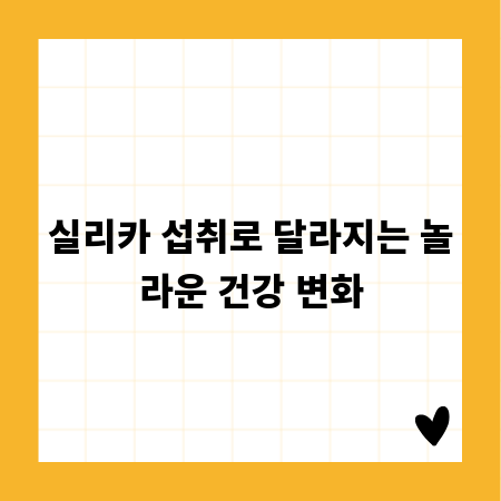 실리카 섭취로 달라지는 놀라운 건강 변화