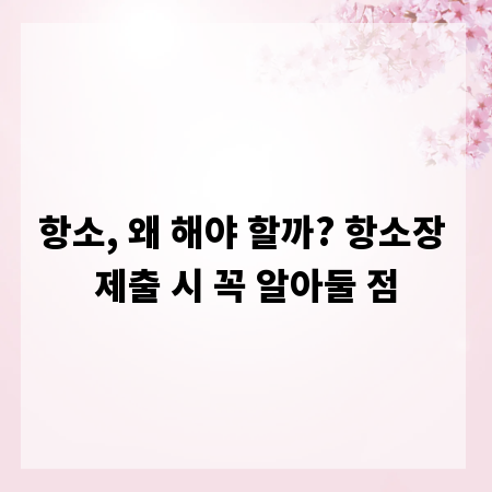항소, 왜 해야 할까? 항소장 제출 시 꼭 알아둘 점