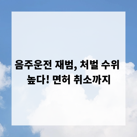 음주운전 재범, 처벌 수위 높다! 면허 취소까지