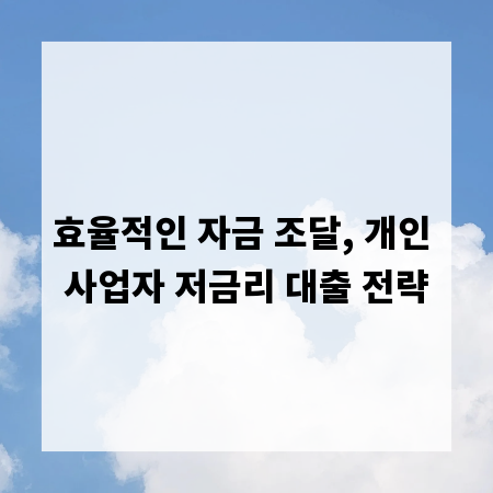 효율적인 자금 조달, 개인 사업자 저금리 대출 전략