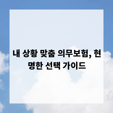 내 상황 맞춤 의무보험, 현명한 선택 가이드