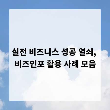 실전 비즈니스 성공 열쇠, 비즈인포 활용 사례 모음