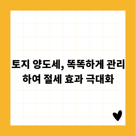 토지 양도세, 똑똑하게 관리하여 절세 효과 극대화
