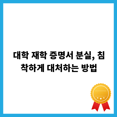 대학 재학 증명서 분실, 침착하게 대처하는 방법
