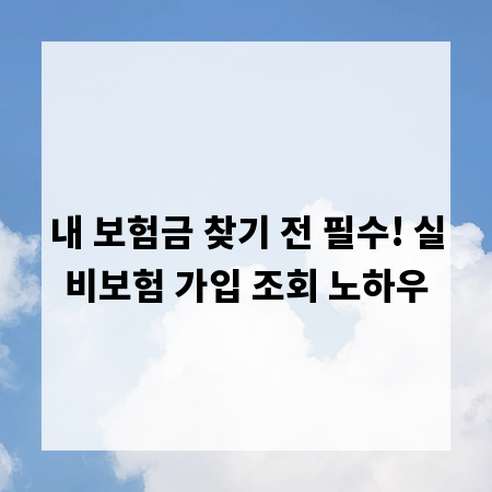 내 보험금 찾기 전 필수! 실비보험 가입 조회 노하우