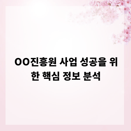 OO진흥원 사업 성공을 위한 핵심 정보 분석