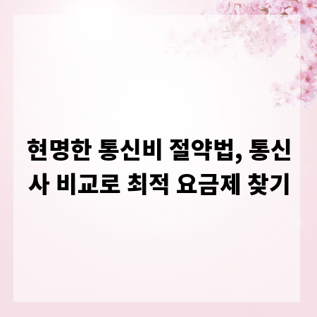 현명한 통신비 절약법, 통신사 비교로 최적 요금제 찾기