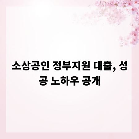소상공인 정부지원 대출, 성공 노하우 공개