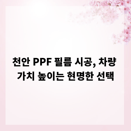 천안 PPF 필름 시공, 차량 가치 높이는 현명한 선택