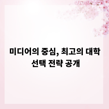 미디어의 중심, 최고의 대학 선택 전략 공개