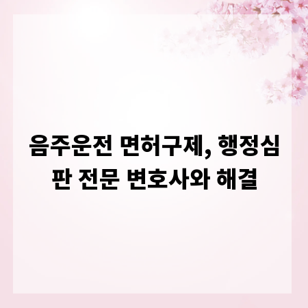 음주운전 면허구제, 행정심판 전문 변호사와 해결