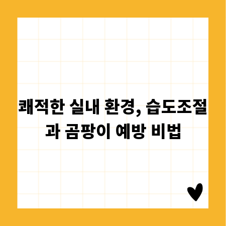 쾌적한 실내 환경, 습도조절과 곰팡이 예방 비법