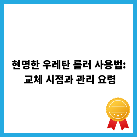 현명한 우레탄 롤러 사용법: 교체 시점과 관리 요령