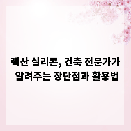 렉산 실리콘, 건축 전문가가 알려주는 장단점과 활용법