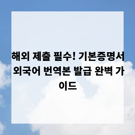 해외 제출 필수! 기본증명서 외국어 번역본 발급 완벽 가이드