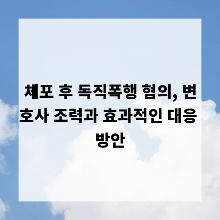 체포 후 독직폭행 혐의, 변호사 조력과 효과적인 대응 방안