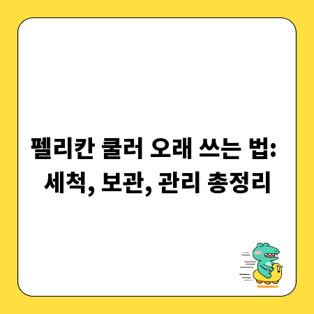 펠리칸 쿨러 오래 쓰는 법: 세척, 보관, 관리 총정리