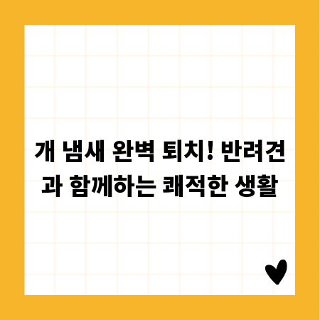 개 냄새 완벽 퇴치! 반려견과 함께하는 쾌적한 생활