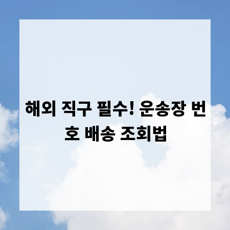 해외 직구 필수! 운송장 번호 배송 조회법