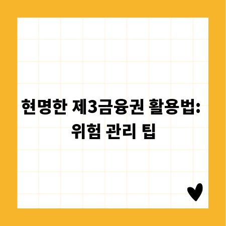 현명한 제3금융권 활용법: 위험 관리 팁