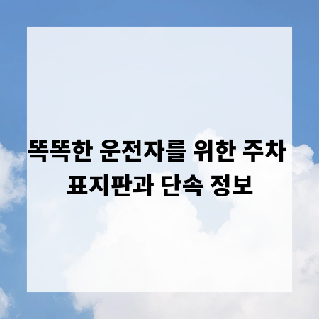 똑똑한 운전자를 위한 주차 표지판과 단속 정보