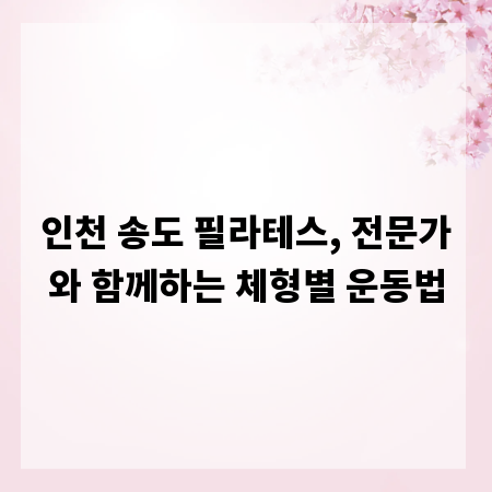 인천 송도 필라테스, 전문가와 함께하는 체형별 운동법
