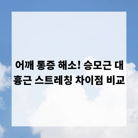 어깨 통증 해소! 승모근 대흉근 스트레칭 차이점 비교