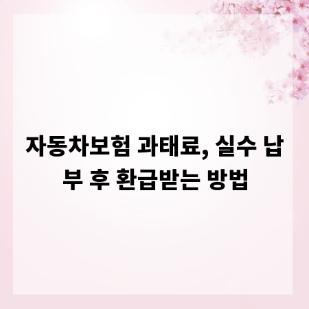 자동차보험 과태료, 실수 납부 후 환급받는 방법