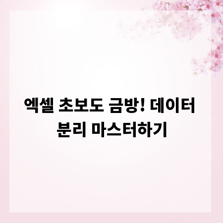 엑셀 초보도 금방! 데이터 분리 마스터하기