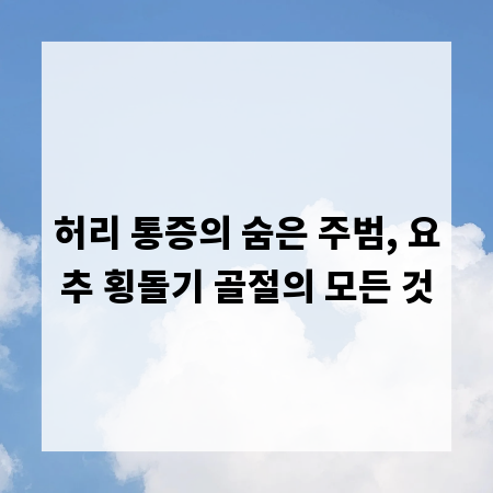 허리 통증의 숨은 주범, 요추 횡돌기 골절의 모든 것