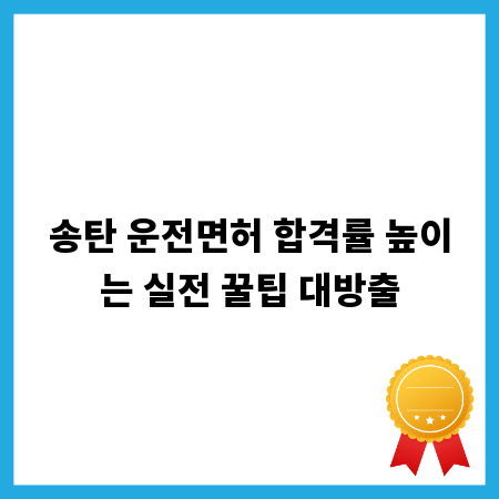 송탄 운전면허 합격률 높이는 실전 꿀팁 대방출