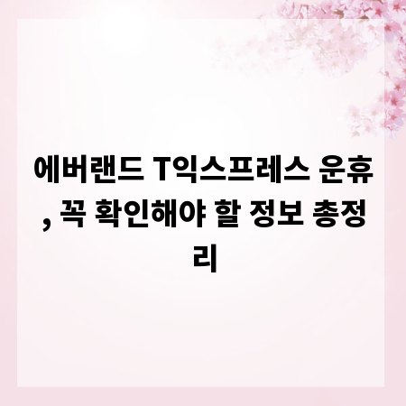 에버랜드 T익스프레스 운휴, 꼭 확인해야 할 정보 총정리