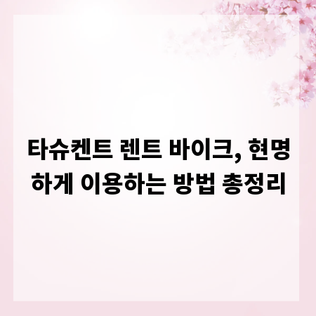 타슈켄트 렌트 바이크, 현명하게 이용하는 방법 총정리