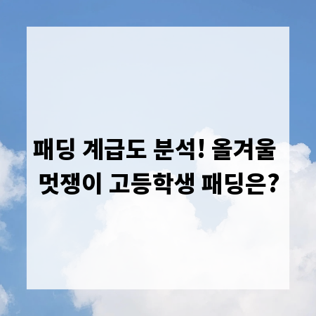 패딩 계급도 분석! 올겨울 멋쟁이 고등학생 패딩은?