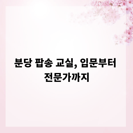 분당 팝송 교실, 입문부터 전문가까지