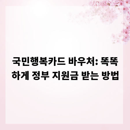 국민행복카드 바우처: 똑똑하게 정부 지원금 받는 방법